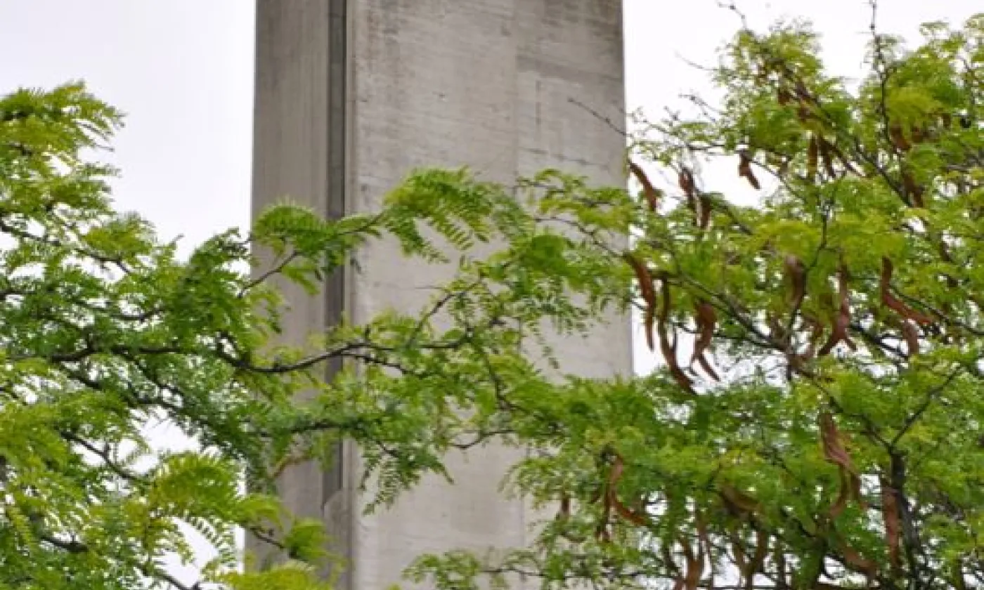 Alexandra Urfer Jungen