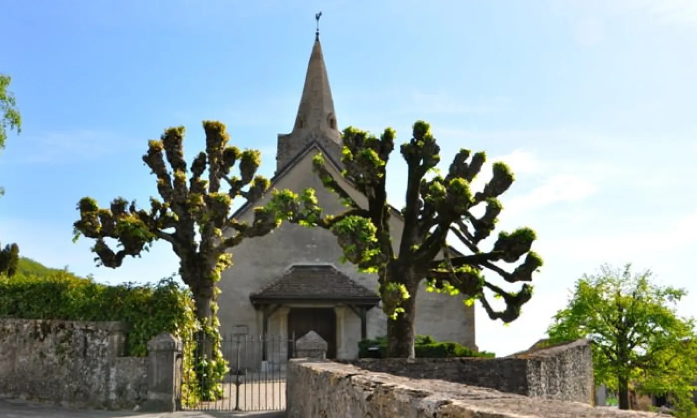 Alexandra Urfer Jungen