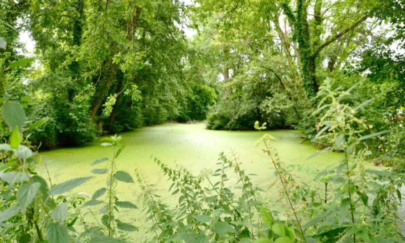 Alexandra Urfer Jungen