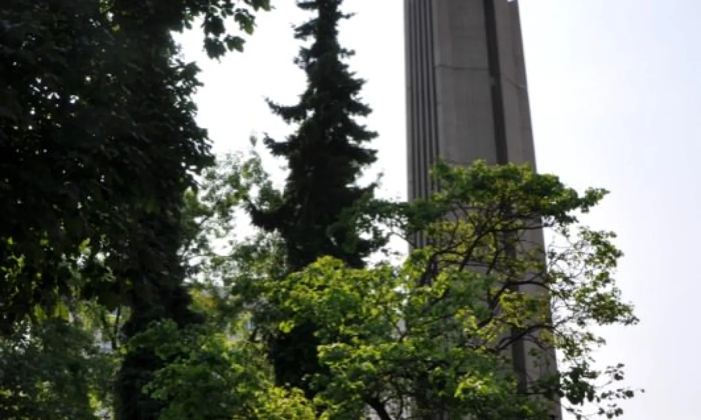 Alexandra Urfer Jungen