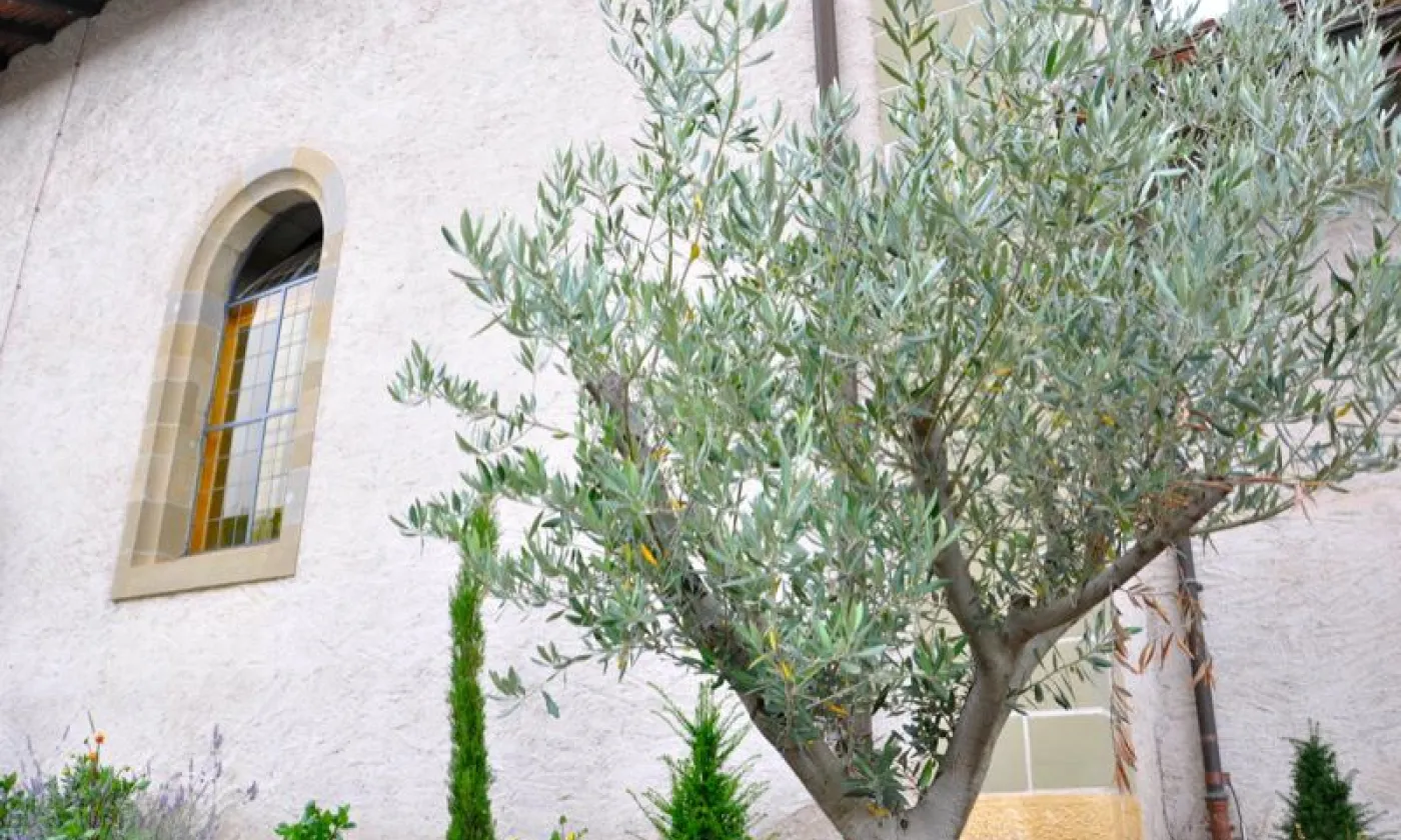 Alexandra Urfer Jungen