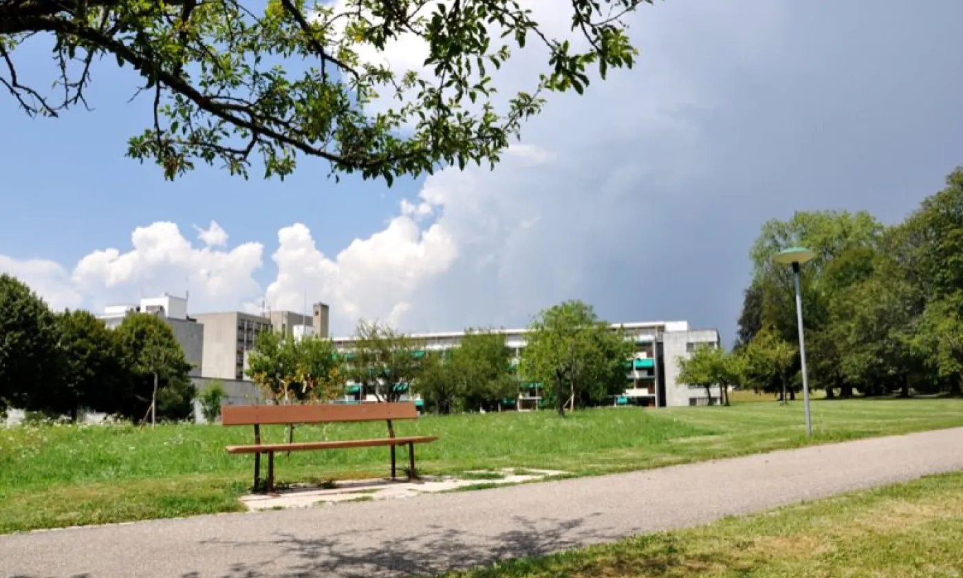 Alexandra Urfer Jungen