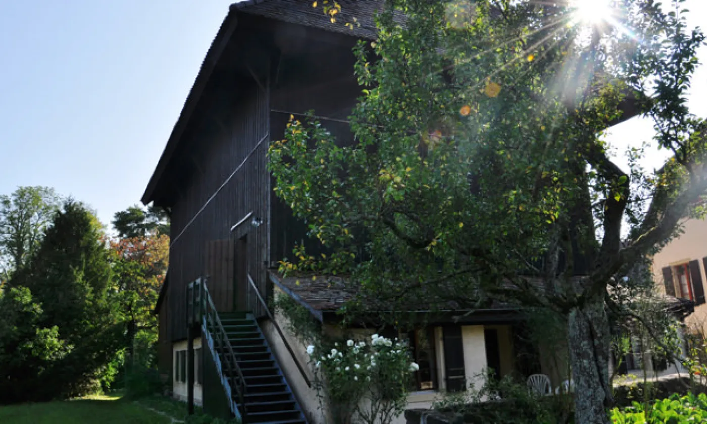 Alexandra Urfer Jungen