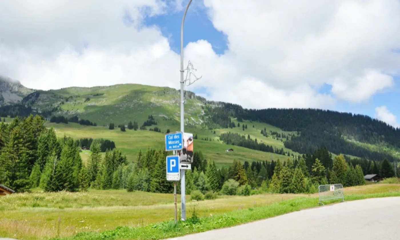 Alexandra Urfer Jungen