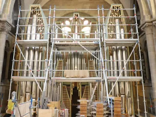 ©Patrick Gillérom Lopreno