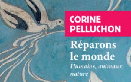 Détail de couverture du livre de Corine Pelluchon: Réparons le monde / ©Editions Payot-Rivages