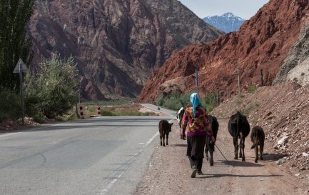 Une femme conduisant des vaches le long de la route de Karakorum, qui relie la région du Xinjiang en Chine au Pakistan. Photo prise en 2012. © iStock/Tiago_Fernandez / Une femme conduisant des vaches le long de la route de Karakorum, qui relie la région du Xinjiang en Chine au Pakistan. Photo prise en 2012. © iStock/Tiago_Fernandez