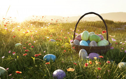 Chocolat, chasse aux œufs, espoir et joie. / © Adobe stock