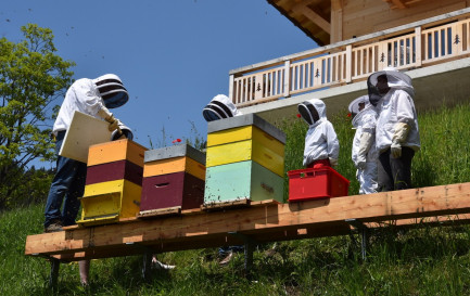 Un paroissien et apiculteur de Chesières a récemment proposé une journée découverte des abeilles. / ©DR
