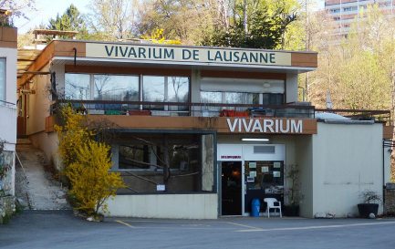 Le Vivarium de Lausanne en 2011 / ©Gzzz, CC BY-SA 3.0 Wikimedia Commons