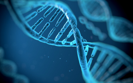 iStock/Svisio / Une molécule d&#039;ADN.