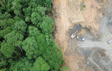 La déforestation silencieuse de l&#039;Amazonie profite de la pandémie. / IStock