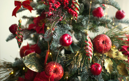 Le sapin de Noël a des racines protestantes / ©iStock