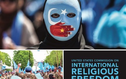 20e rapport de la Commission des États-Unis sur la liberté religieuse au niveau international / USCIRF 2019 Annual Report