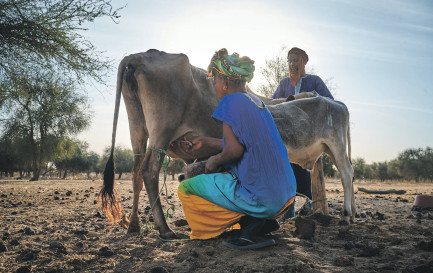 Une femme qui vend régulièrement du lait à l’unité de transformation gagne en moyenne 124 000 francs CFA par an (182 francs suisses). Un revenu complété par d’autres activités, mais bien inférieur au revenu sénégalais moyen (4000 francs environ). / ©EPER
