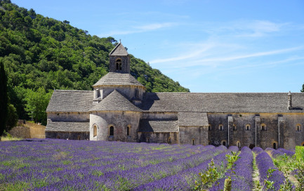 En fond d’écran de son smartphone, Pierre Maudet a choisi une photo de l’abbaye de Sénanque. / IStock