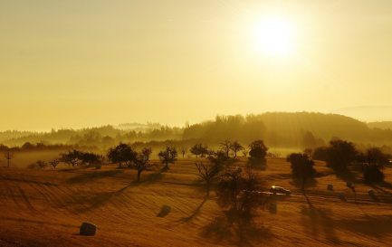 L&#039;automne, encore des chances de réussite, ou bientôt la fin ? / L&#039;automne, encore des chances de réussite, ou bientôt la fin ?