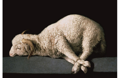  Agnus Dei de Francisco de Zurbarán / DR