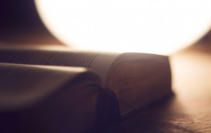 Que dit la Bible de l&#039;homosexualité? / Pixabay