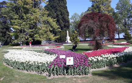 Fête des tulipes, Morges / Fête des tulipes, Morges