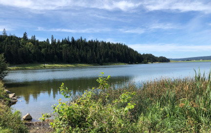 Lac des Taillères (NE) / En chemin 