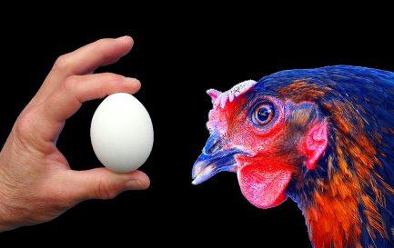  La question de la poule et de l’œuf: les paroisses meurent-elles parfois parce qu’on a créé les régions artificiellement à leurs dépens ou bien a-t-on voulu compenser la mort des paroisses en créant les régions? / CC0 Papynoun / Pixabay