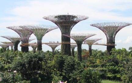 Singapour Gardens by the bay entre artificialité et idéalisation de la nature / Singapour entre artificialité et idéalisation de la nature. Photo Gilles Bourquin