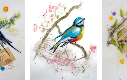 &quot;Oiseaux de passage&quot; / Une exposition de Anne Cernigoi