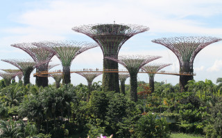 Singapour Gardens by the bay entre artificialité et idéalisation de la nature / Singapour entre artificialité et idéalisation de la nature. Photo Gilles Bourquin